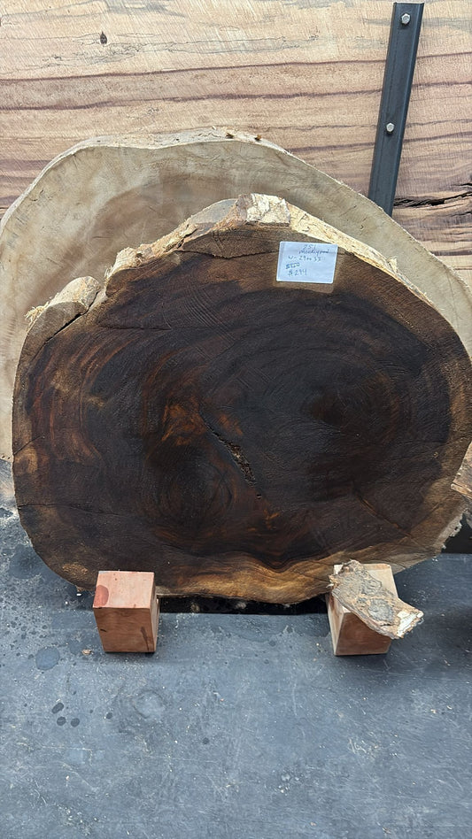 Live Edge Monkeypod Round – #251 – 29"–33" Wide