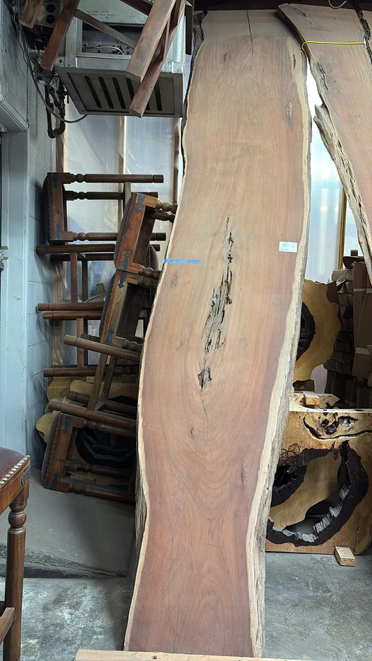 Live Edge Rare Acacia Slab #180 – 12'9" x 28"