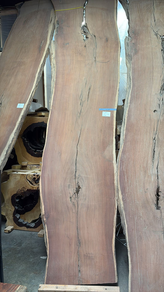 Live Edge Rare Acacia Slab #181 – 12'6" x 30"