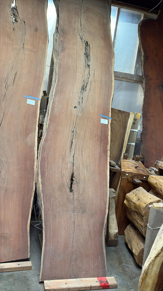 Live Edge Rare Acacia Slab #182 – 13' x 31"