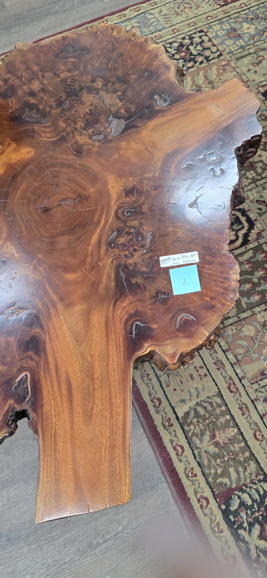 #7 Redwood Burl Coffee Table – 47" x 44" x 18"